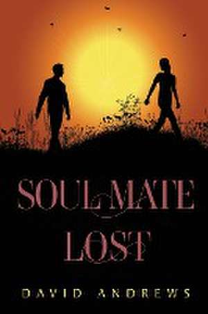 Soul Mate Lost de David Andrews