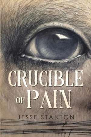 Crucible of Pain de Jesse Stanton