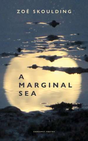 A Marginal Sea de Zoe Skoulding