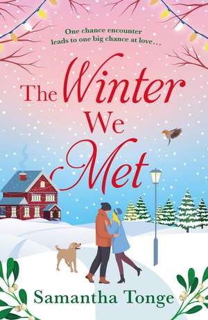 The Winter We Met de Samantha Tonge