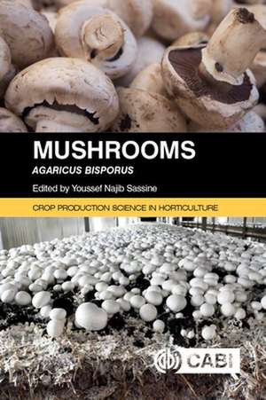 Mushrooms – Agaricus bisporus de Youssef Najib Sassine