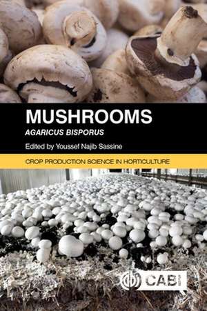 Mushrooms de Youssef Najib Sassine