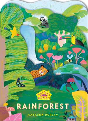 Animal Homes: Rainforest de Natasha Durley