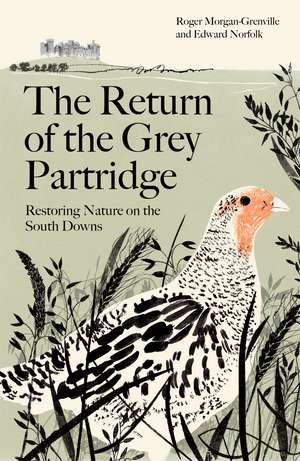 The Return of the Grey Partridge: Restoring Nature on the South Downs de Roger Morgan-Grenville