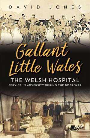 Gallant Little Wales de David Jones