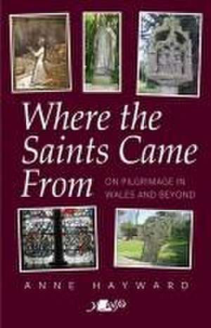 Where the Saints Came from de Anne Hayward