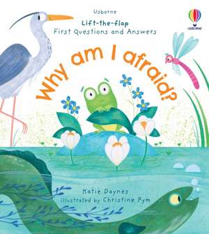 First Questions and Answers: Why am I afraid? de Katie Daynes