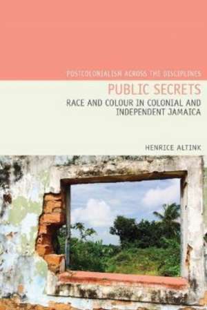 Public Secrets de Henrice Altink