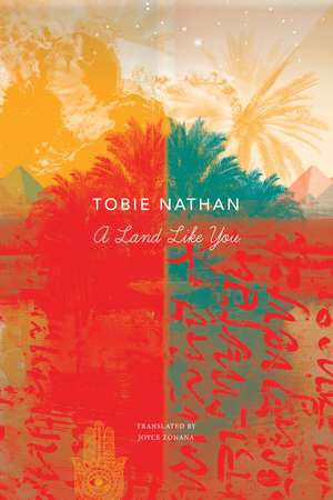 A Land Like You de Tobie Nathan