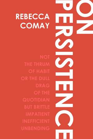 On Persistence de Rebecca Comay