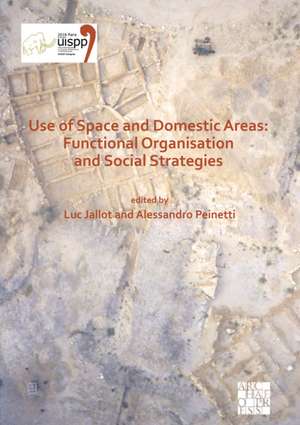 Use of Space and Domestic Areas: Functional Organisation and Social Strategies de Alessandro Peinetti