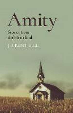 Amity – Stories from the Heartland de J. Brent Bill