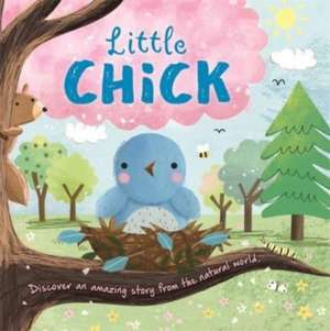 Little Chick de Igloo Books Ltd