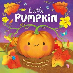 Little Pumpkin de Autumn Publishing