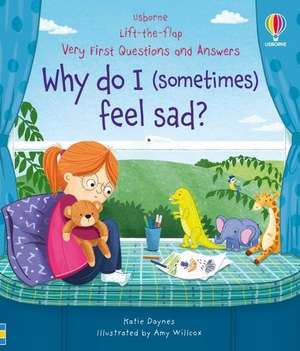 Very First Questions & Answers: Why do I (sometimes) feel sad? de Katie Daynes