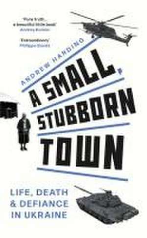 A Small, Stubborn Town de Andrew Harding