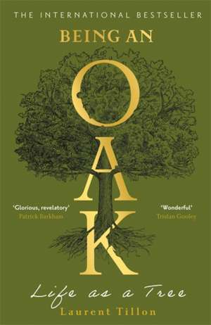 Being an Oak de Laurent Tillon