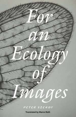 For an Ecology of Images de Peter Szendy