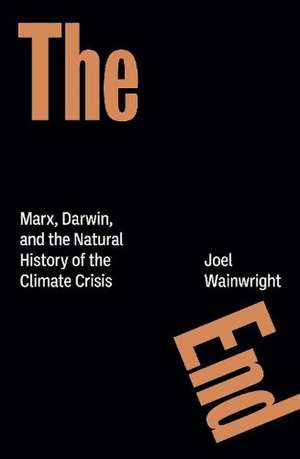 The End de Joel Wainwright