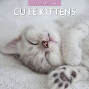 Cute Kittens 2024 Square Wall Calendar de Red Robin Publishing Ltd.