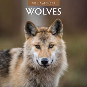 Wolves 2024 Square Wall Calendar de Red Robin Publishing Ltd.