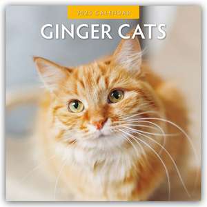 Ginger Cats - Rote Katzen - Gingerkatzen 2025 - 16-Monatskalender de Robin Red