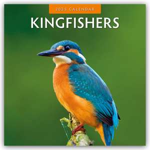 Kingfishers - Eisvögel 2025 - 16-Monatskalender de Robin Red