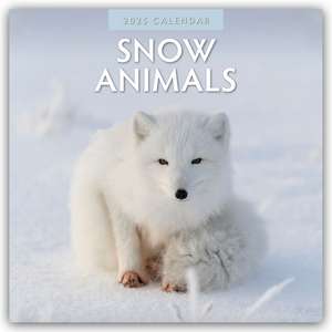 Snow Animals - Arktische Tiere 2025 - 16-Monatskalender de Robin Red