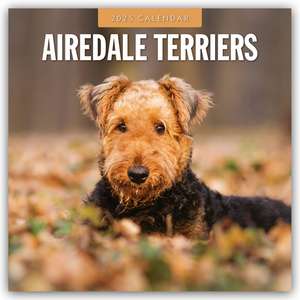 Airdale Terriers - Airdale Terrier 2025 - 16-Monatskalender de Robin Red