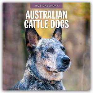 Australian Cattle Dogs - Australian Cattle Dog 2025 - 16-Monatskalender de Robin Red