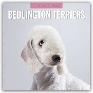 Bedlington Terrier - Bedlington Terriers 2025 - 16-Monatskalender de Robin Red