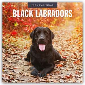 Black Labrador Retrievers - Schwarze Labrador Retriever 2025 - 16-Monatskalender de Robin Red