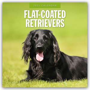 Flat-Coated Retrievers - Flat Coated Retriever 2025 - 16-Monatskalender de Robin Red