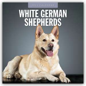 White German Shepherds - Weißer Deutscher Schäferhund 2025 - 16-Monatskalender de Robin Red