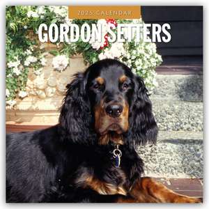 Gordon Setters - Gordon Setter 2025 - 16-Monatskalender de Robin Red