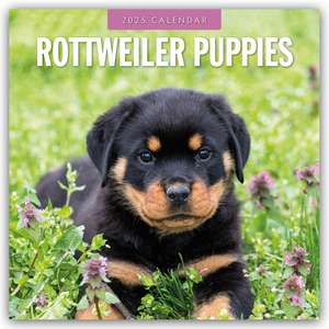 Rottweiler Puppies - Rottweiler Welpen 2025 - 16-Monatskalender de Robin Red