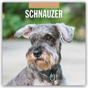 Schnauzer 2025 - 16-Monatskalender de Robin Red