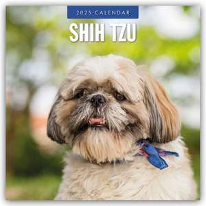 Shih Tzu 2025 - 16-Monatskalender de Robin Red