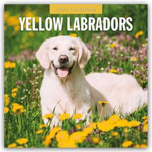 Yellow Labrador Retrievers - Gelber Labrador Retriever 2025 - 16-Monatskalender de Robin Red