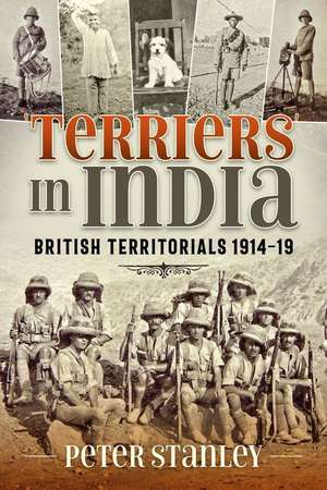 Terriers in India: British Territorials 1914-19 de Peter Stanley