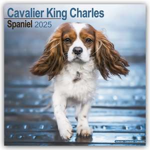 Cavalier King Charles Spaniel 2025 - 16-Monatskalender de Avonside Publishing Ltd