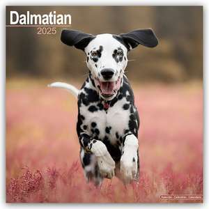 Avonside Publishing Ltd.: Dalmatian - Dalmatiner 2025 - 16-M