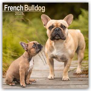 French Bulldog - Französische Bulldoggen 2025 - 16-Monatskalender de Avonside Publishing Ltd