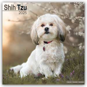 Shih Tzu 2025 - 16-Monatskalender de Avonside Publishing Ltd