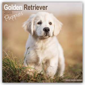 Golden Retriever Puppies - Golden Retriever-Welpen 2025 - 16-Monatskalender de Avonside Publishing Ltd