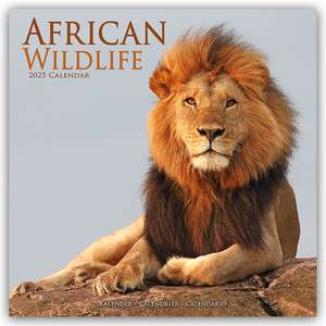 African Wildlife - Afrikanische Tierwelt 2025 - 16-Monatskalender de Avonside Publishing Ltd