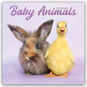 Baby Animals - Tierbabys 2025 - 16-Monatskalender de Avonside Publishing Ltd.