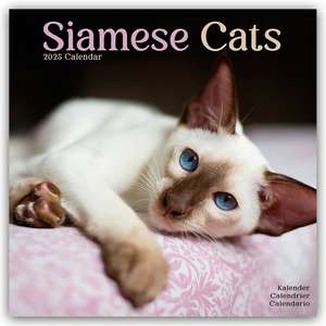 Siamese Cats - Siam-Katzen 2025 - 16-Monatskalender de Avonside Publishing Ltd