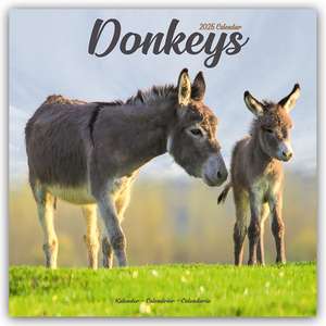 Avonside Publishing Ltd: Donkeys - Esel 2025 - 16-Monatskale