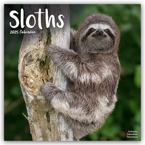 Sloths - Faultiere 2025 - 16-Monatskalender de Avonside Publishing Ltd